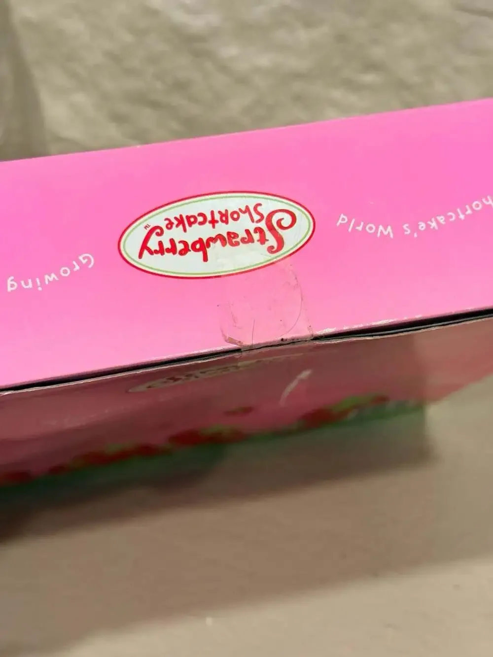 Strawberry Shortcake Bath Activity Set with Paints, Crayons, and Stampers
